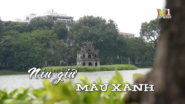 Níu giữ màu xanh | Nhịp sống Hà Nội | 14/09/2024