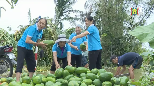 Đài Hà Nội