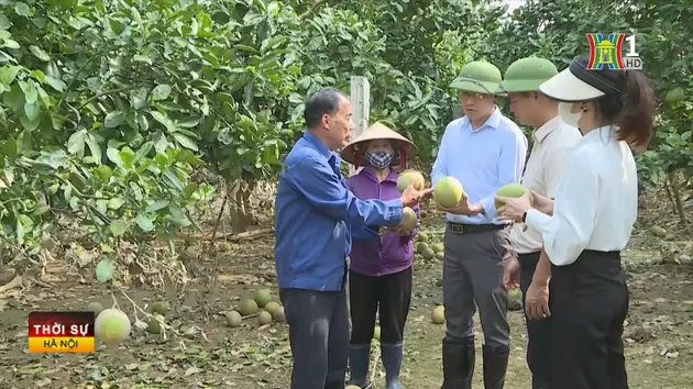 Phúc Thọ tập trung phục hồi, phát triển kinh tế sau bão