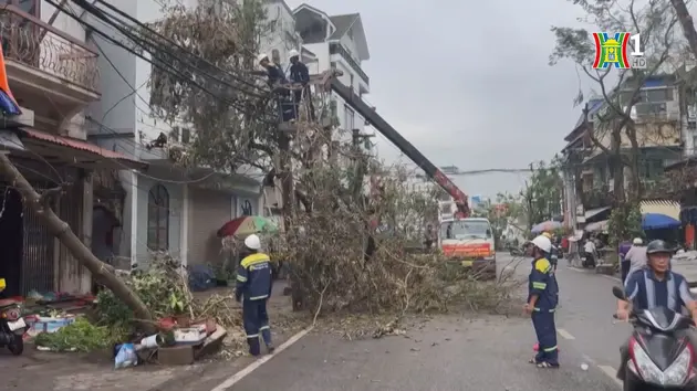 Hải Phòng thiệt hại gần 11.000 tỷ đồng vì bão Yagi