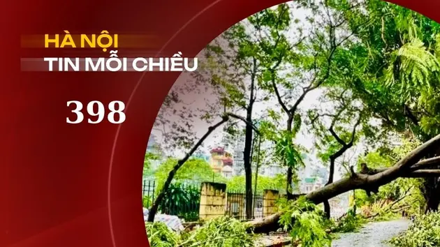 Hồi sinh cây xanh Hà Nội sau bão số 3 | Hà Nội tin mỗi chiều