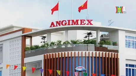 Angimex giải trình việc cổ phiếu tăng trần 5 phiên liên tiếp