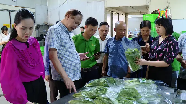 Đài Hà Nội