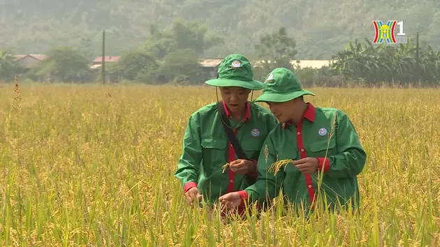 Đài Hà Nội