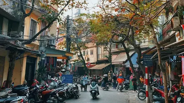 Lang thang phố