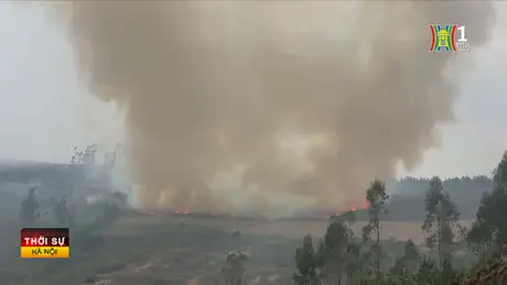 Peru ban bố tình trạng khẩn cấp do cháy rừng