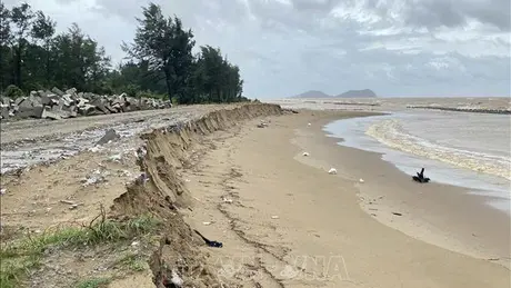 Mưa lớn, sạt lở bờ biển nghiêm trọng tại Hà Tĩnh