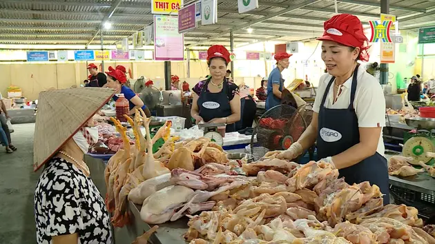 Phòng, chống dịch bệnh gia súc, gia cầm | Quản lý chất lượng nông lâm thủy sản | 22/09/2024