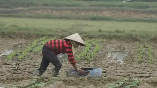 Đài Hà Nội