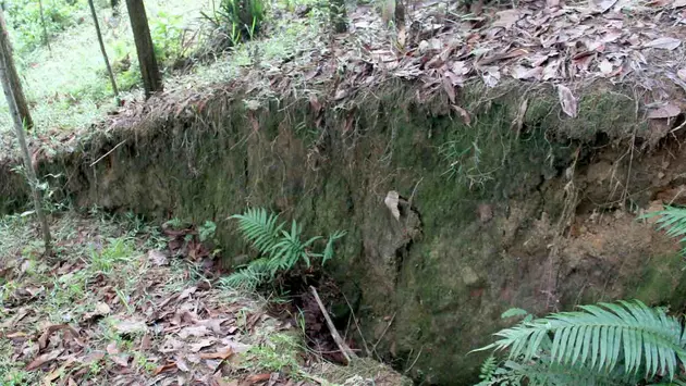 Đài Hà Nội