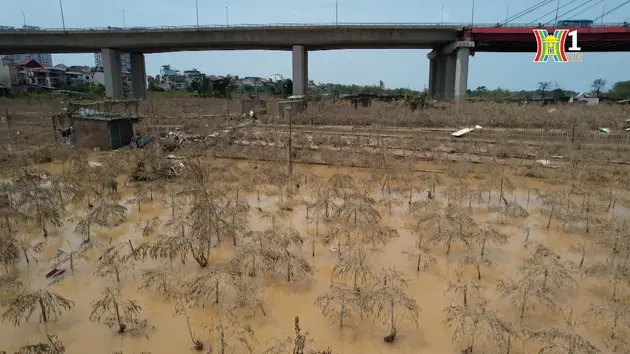 Đài Hà Nội