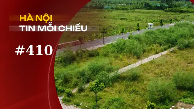 Đấu giá đất cao rồi bỏ cọc, đâu phải trò đùa! | Hà Nội tin mỗi chiều