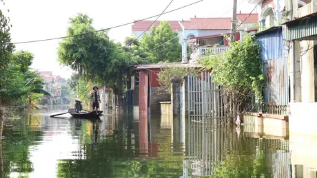 Ngoại thành Hà Nội còn 10.638 người bị ảnh hưởng ngập lụt