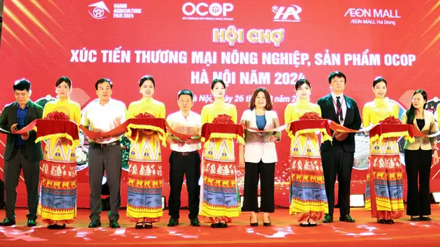 Hà Nội hỗ trợ đưa hàng Việt vào siêu thị quốc tế