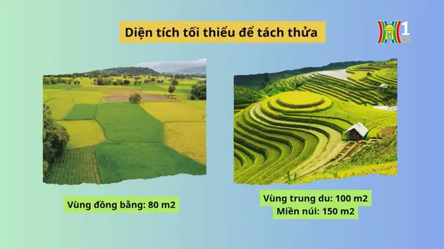 Đài Hà Nội