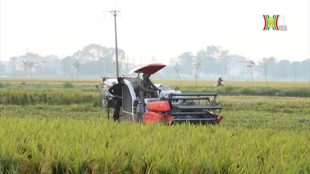 Hỗ trợ nông dân khôi phục sản xuất | Phát triển nông nghiệp nông thôn | 28/09/2024