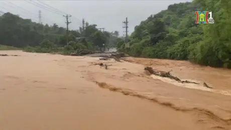 Ứng phó với lũ trên sông Thao