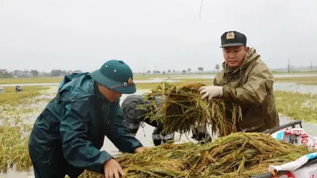 Đài Hà Nội