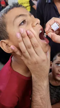 UNICEF xác nhận các bên ở Gaza đồng ý ngừng bắn