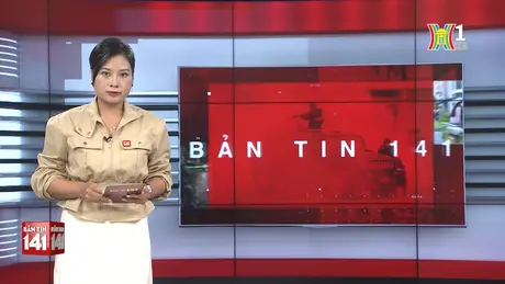 Bản tin 141 | 12/10/2024