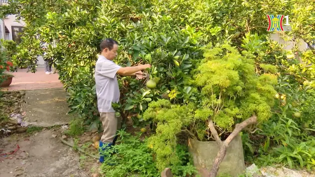 Người cựu chiến binh gương mẫu | Người tốt quanh ta | 24/10/2024