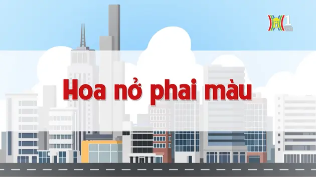 Hoa nở phai màu | Chuyện quanh ta | 24/10/2024