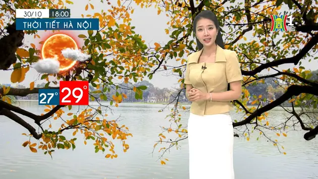 Dự báo thời tiết tối | 30/10/2024