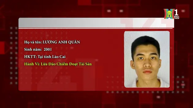 Lừa cho thuê căn hộ rồi chiếm đoạt tiền đặt cọc