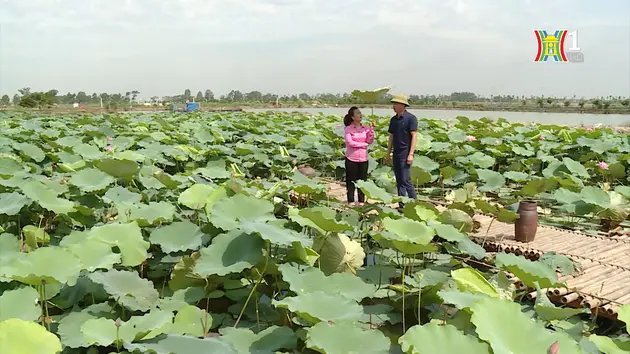 Đài Hà Nội