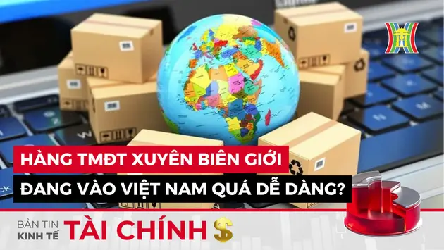 Bản tin Kinh tế Tài chính | 02/11/2024