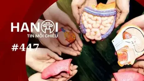 Gieo mầm cho sự sống được nối dài | Hà Nội tin mỗi chiều