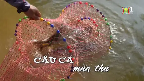 Câu cá mùa thu | Nhịp sống Hà Nội | 03/11/2024