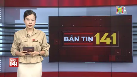 Bản tin 141 | 04/11/2024