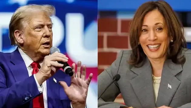 Nỗ lực của ông Trump và bà Harris trước 'giờ G'