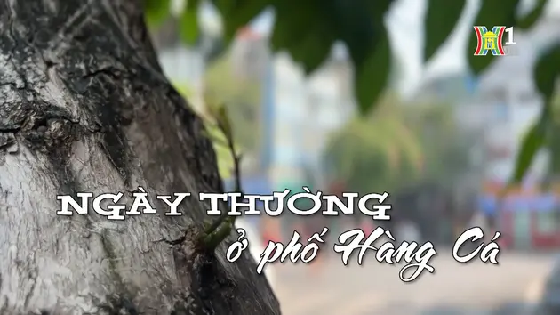 Ngày thường ở phố Hàng Cá | Nhịp sống Hà Nội | 06/11/2024