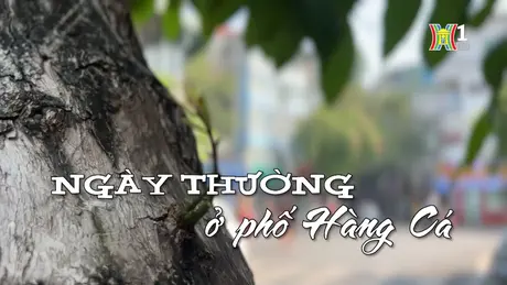 Ngày thường ở phố Hàng Cá | Nhịp sống Hà Nội | 06/11/2024