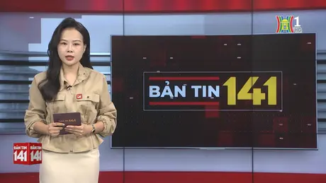 Bản tin 141 | 06/11/2024