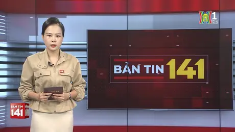 Bản tin 141 | 06/11/2024