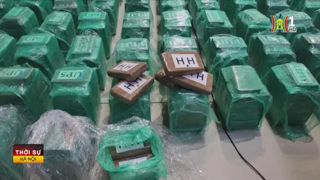 Tây Ban Nha thu giữ hơn 13 tấn cocaine