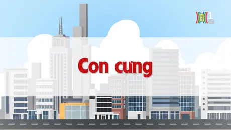 Con cưng | Chuyện quanh ta | 07/11/2024