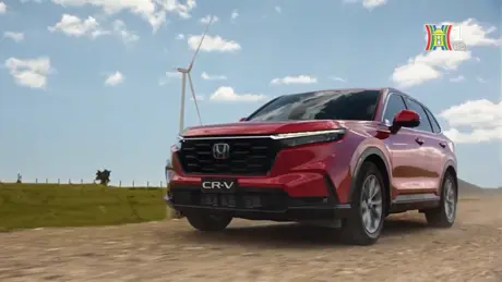 Honda gọi sửa chữa CR-V và Civic do lỗi thước lái