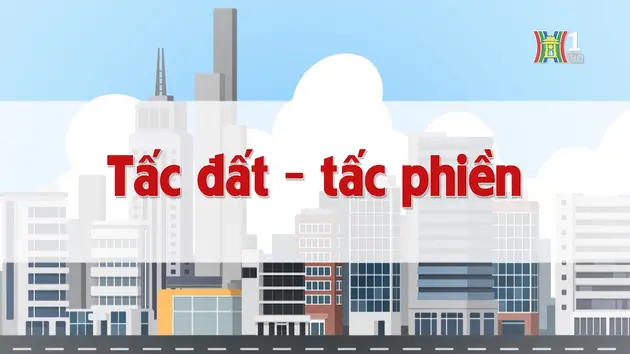 Tấc đất - tấc phiền | Chuyện quanh ta | 08/11/2024