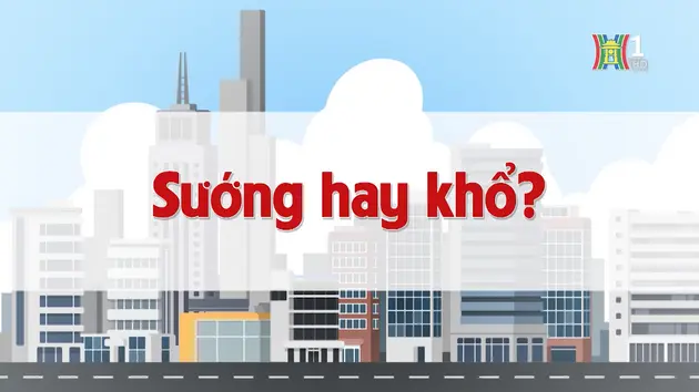 Sướng hay khổ? | Chuyện quanh ta | 08/11/2024