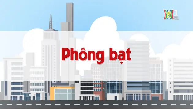 Phông bạt | Chuyện quanh ta | 09/11/2024