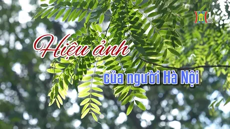 Hiệu ảnh của người Hà Nội | Người Hà Nội | 10/11/2024