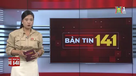 Bản tin 141 | 10/11/2024