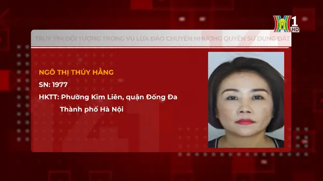 Quy mô 3 cầu hơn 43.000 tỉ đồng bắc qua sông Hồng