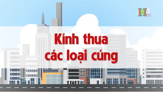 Đài Hà Nội
