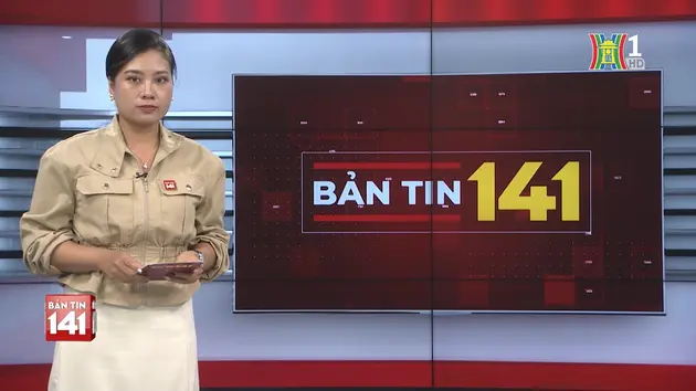 Bản tin 141 | 12/11/2024