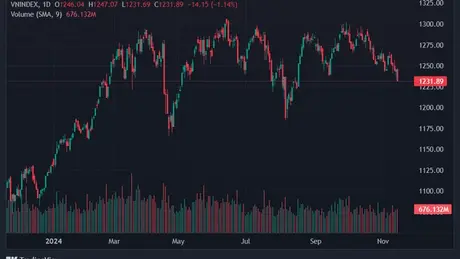 Chứng khoán ngày 14/11: VN-Index giảm hơn 14 điểm